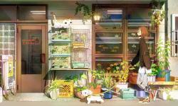 Featured image of post 论文阅读汇总